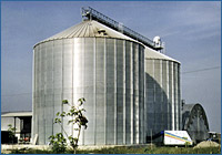 A Tecnograin example of grain storage bins