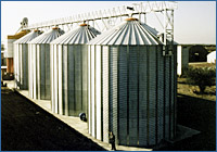 Grain storage silos installations: Agricom, Canino (VT) :: grain drying 400 tons, grain storage 15.200 tons