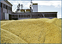Grain dryer in Legnago, (VR) Italy